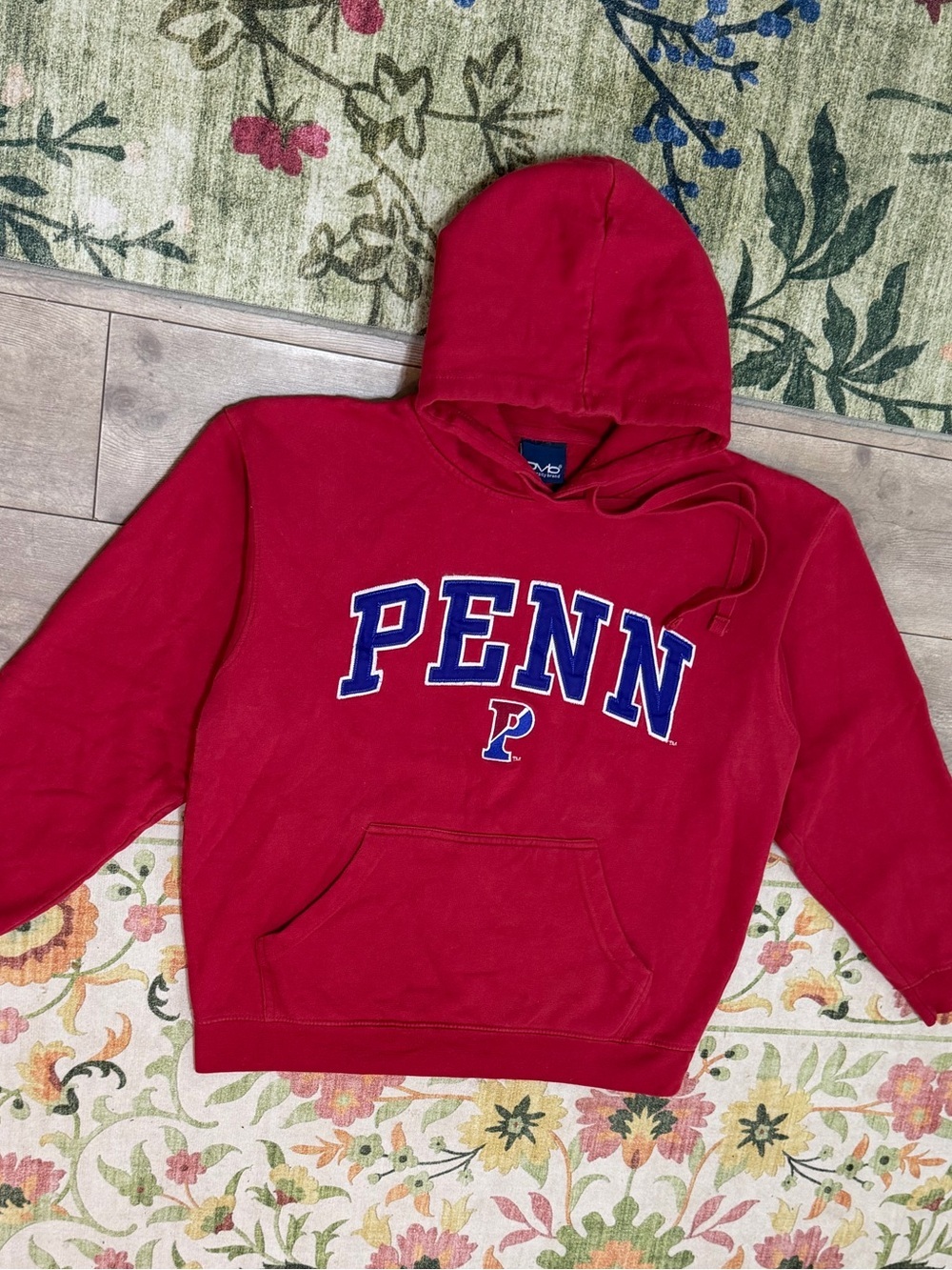 Vintage Old Varsity Brand Penn University Hoodie Sweatshirt Men’s Medium Y2K